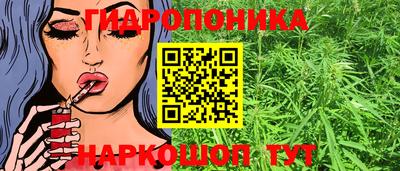 spice Краснознаменск