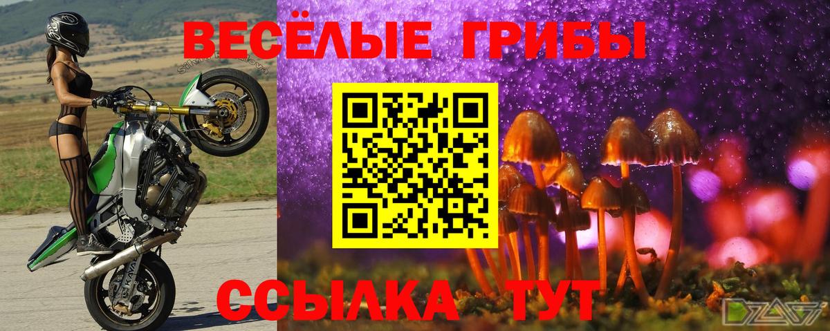 Галлюциногенные грибы Cubensis Ишимбай